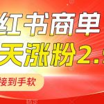 （8308期）小红书商单最新玩法，新号15天2.9w粉，商单接到手软，1分钟一篇笔记