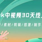 （8963期）TikTok中视频-30天线上陪跑班：注册/养号/素材/剪辑/搭建/制作/提现/等等