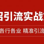 精准引流术：11招引流实战方法，让你私域流量加到爆（11节课完整版）