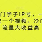 视频号寒门学子IP号，一部手价5分钟完成一个视频，冷门赛道，流量大收益高【揭秘】