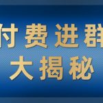 付费进群大揭秘，零基础也轻松日入500+，学会后玩转市面上50%以上的项目