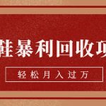 旧鞋暴利回收项目，轻松月入过万【回收渠道+详细教学视频】