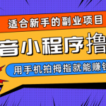 抖音小程序撸金项目，用手机每天拍个拇指挂载一下小程序就能赚钱