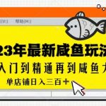 2023最新闲鱼实战课，从入门到精通再到闲鱼大佬，单号日入300+（更新）