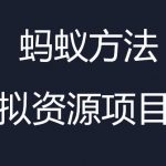 虚拟资源掘金课，虚拟资源的全套玩法 价值1980元