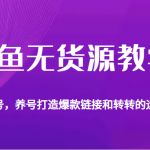 闲鱼无货源教学，教你起号，养号打造爆款链接以及转转的运营技巧