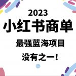 小红书商单，2023最强蓝海项目，没有之一！