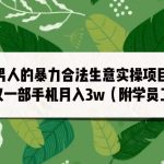 男人的暴力合法生意实操项目巨细版：仅一部手机月入3w（附赠学员工具箱）