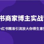 小红书商家博主实战营4.0，用小红书精准引流放大你得生意势能