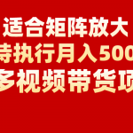 矩阵操作月入5000+，多多视频带货项目，适合新手，也适合老手放大