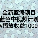 全新蓝海项目，蓝色中视频计划，1W播放量1000+