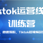 Tiktok运营线上训练营，引流爆单，急速涨粉，Tiktok短视频玩法大揭秘！