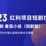 2023红利项目短剧拉新，月入过万红果短剧番茄小说CPA拉新项目教程