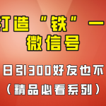 [引流变现]7天养出“铁”一样的微信号，日引300粉不频繁，方法价值880元！