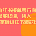 [小红书]小红书接单号方向微操实践课，快人一步提前掌握小红书爆款玩法