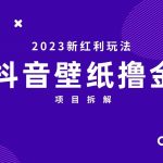 [抖音快手]2023新红利玩法，抖音壁纸撸金项目拆解