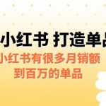 [小红书]某公众号付费文章《小红书 打造单品专家》小红书有很多月销额到百万的单品