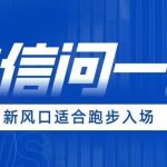 全网首发微信问一问新风口变现项目（价值1999元）