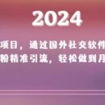 2024新项目，通过国外社交软件，快速涨粉精准引流，轻松做到月入上万【揭秘】