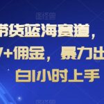 抖音带货蓝海赛道，千粉账号2W+佣金，暴力出单，小白1小时上手【揭秘】