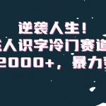 逆袭人生！成人识字冷门赛道，日入2000+，暴力变现！【揭秘】