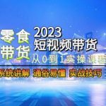 2023短视频带货-零食赛道，从0-1实操课程，系统讲解实战技巧