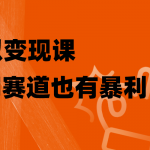 （8219期）虚拟变现课，冷门赛道也有暴利，手把手教你玩转冷门私域