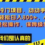 （8205期）超级冷门项目,动动手指，单号轻松日入800+，小白也可轻松操作，保姆级教程