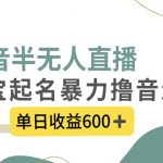 （8192期）抖音半无人直播，宝宝起名，暴力撸音浪，单日收益600+