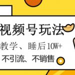 最新视频号玩法，不销售、不引流、不推广，躺着月入1W+，保姆式教学，小白轻松上手【揭秘】