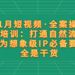 （8182期）11月短视频·全案操盘手培训：打通自然流量 成为想象级IP必备要素 全是干货