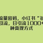 （8179期）揭秘流量密码，小红书“每天系列”引流，日引流1000+，多种变现方式