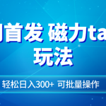 （8166期）全网首发磁力toptop玩法 轻松日入300+