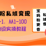 （8154期）宝妈粉私域变现从0-1，从1-100，保姆级实操教程，长久稳定的变现之法