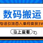 （8129期）仅靠一句话引流百人变现3万？