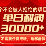 （8120期）一个不会被人拒绝的项目，不需要任何经验，谁都能做，单日利润30000+