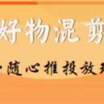 【万三】好物混剪付费随心推投放玩法，随心投放小课抖音教程