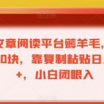 最新文章阅读平台薅羊毛，1万播放200块，靠复制粘贴日入200+，小白闭眼入【揭秘】