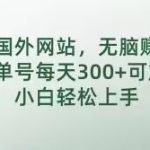 通过国外网站，无脑赚美刀，单号每天300+可放大操作，小白轻松上手【揭秘】