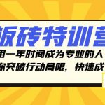 （8048期）板砖特训营，用一年时间成为专业的人，带你突破行动局限，快速成长