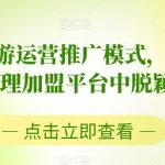 2023手游运营推广模式，让你在手游代理加盟平台中脱颖而出