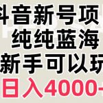 抖音蓝海赛道，必须是新账号，日入4000+【揭秘】