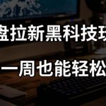 网盘拉新黑科技玩法，小白一周也能轻松过万【全套视频教程+黑科技】【揭秘】