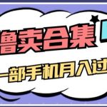 0撸项目月入过万，售卖全套ai工具合集，一单29.9元，一部手机即可【揭秘】