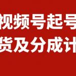 （7944期）视频号快速起号，分成计划及带货，0-1起盘、运营、变现玩法，日入1000+