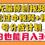 无脑原创视频，轻松过中视频+视频号分成计划，小白也能月入3w+【揭秘】