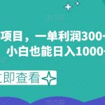 闲鱼最新蓝海项目，一单利润300+，每天1小时，小白也能日入1000+【揭秘】