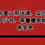 最新视频号图文带货课，实战性很强，有多少号上多少号，等着爆单就行，操作非常简单