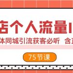 （7934期）实体店个人流量IP打造 2023实体同城引流获客必听 含直播玩法（75节完整版）