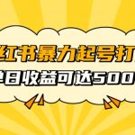 小红书暴力起号秘籍，11月最新玩法，单天变现500+，素人冷启动自媒体创业【揭秘】